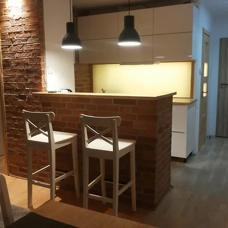 Zaciszny Apartament Pod Lasem 索波特